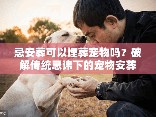 忌安葬可以埋葬宠物吗？破解传统忌讳下的宠物安葬真相