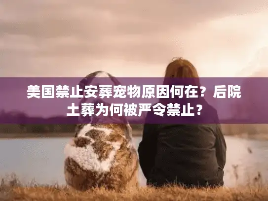 美国禁止安葬宠物原因何在？后院土葬为何被严令禁止？