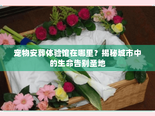 宠物安葬体验馆在哪里？揭秘城市中的生命告别圣地