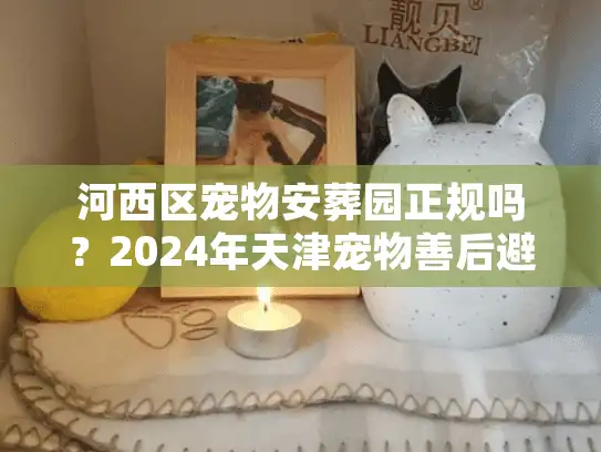 河西区宠物安葬园正规吗？2024年天津宠物善后避坑实录