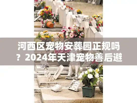 河西区宠物安葬园正规吗？2024年天津宠物善后避坑实录