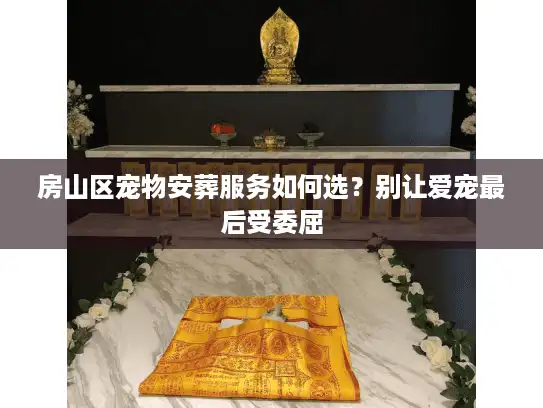 房山区宠物安葬服务如何选？别让爱宠最后受委屈