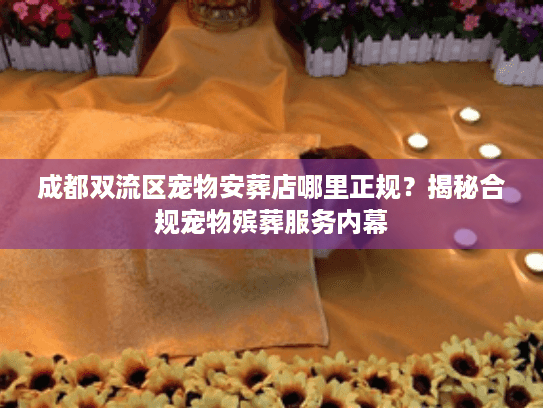 成都双流区宠物安葬店哪里正规?揭秘合规宠物殡葬服务内幕 成都双流区宠物安葬店哪里正规?揭秘合规宠物殡葬服务内幕