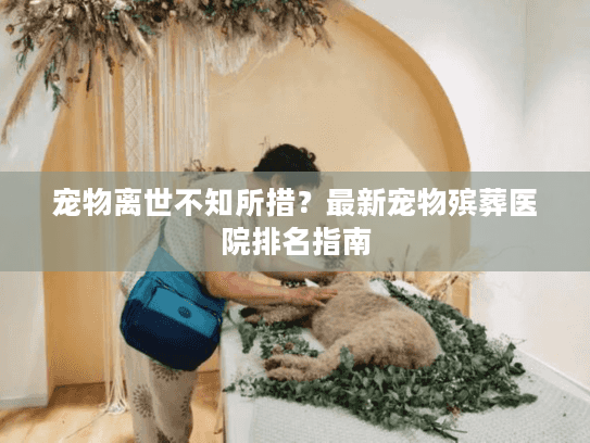 宠物离世不知所措？最新宠物殡葬医院排名指南