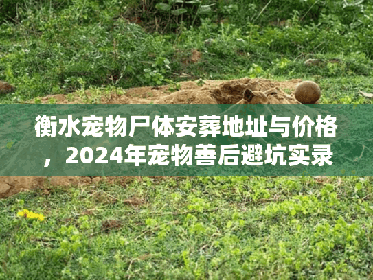 衡水宠物尸体安葬地址与价格，2024年宠物善后避坑实录