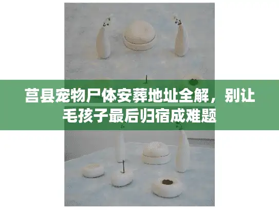 莒县宠物尸体安葬地址全解,别让毛孩子最后归宿成难题 莒县宠物尸体安葬地址全解,别让毛孩子最后归宿成难题