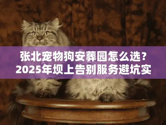 张北宠物狗安葬园怎么选?2025年坝上告别服务避坑实录 张北宠物狗安葬园怎么选?2025年坝上告别服务避坑实录