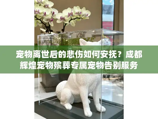 宠物离世后的悲伤如何安抚?成都辉煌宠物殡葬专属宠物告别服务 宠物离世后的悲伤如何安抚?成都辉煌宠物殡葬专属宠物告别服务