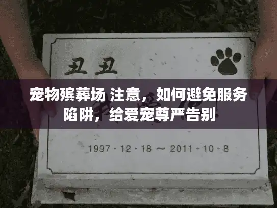 宠物殡葬场 注意，如何避免服务陷阱，给爱宠尊严告别