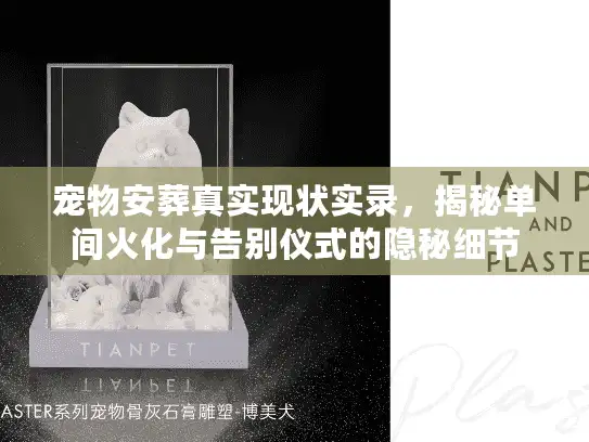 宠物安葬真实现状实录，揭秘单间火化与告别仪式的隐秘细节