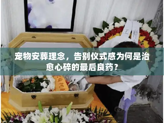宠物安葬理念，告别仪式感为何是治愈心碎的最后良药？