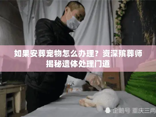 如果安葬宠物怎么办理?资深殡葬师揭秘遗体处理门道 如果安葬宠物怎么办理?资深殡葬师揭秘遗体处理门道