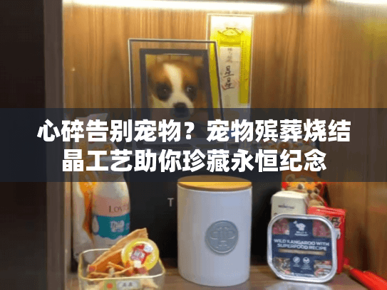 心碎告别宠物？宠物殡葬烧结晶工艺助你珍藏永恒纪念