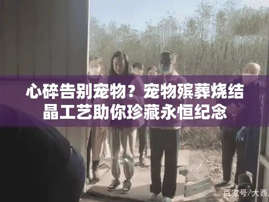 心碎告别宠物？宠物殡葬烧结晶工艺助你珍藏永恒纪念