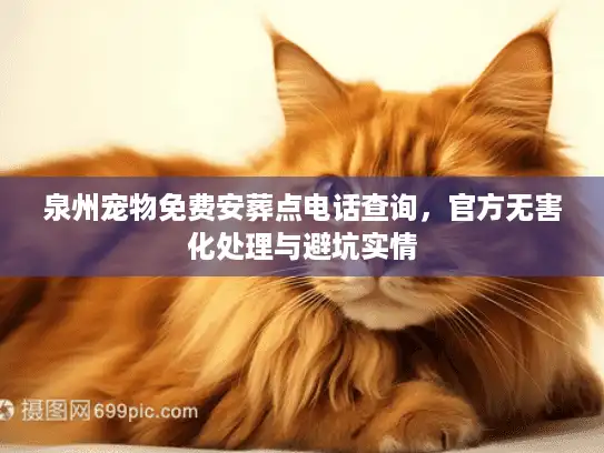泉州宠物免费安葬点电话查询，官方无害化处理与避坑实情
