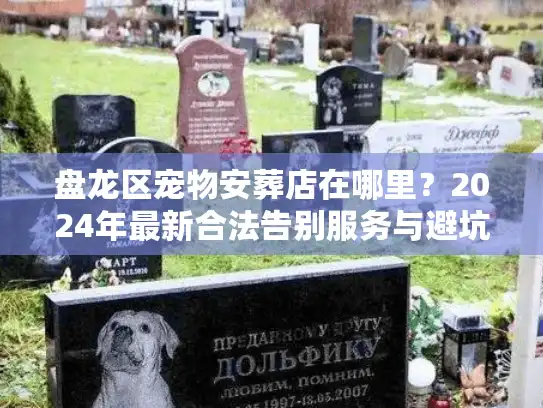 盘龙区宠物安葬店在哪里？2024年最新合法告别服务与避坑实情