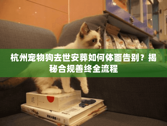 杭州宠物狗去世安葬如何体面告别?揭秘合规善终全流程 杭州宠物狗去世安葬如何体面告别?揭秘合规善终全流程