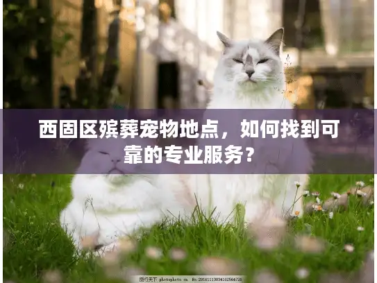 西固区殡葬宠物地点，如何找到可靠的专业服务？