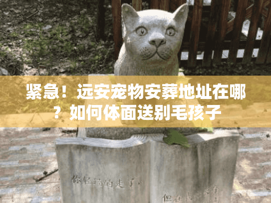 紧急！远安宠物安葬地址在哪？如何体面送别毛孩子