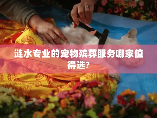 涟水专业的宠物殡葬服务哪家值得选?