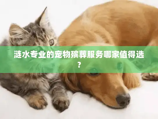 涟水专业的宠物殡葬服务哪家值得选?