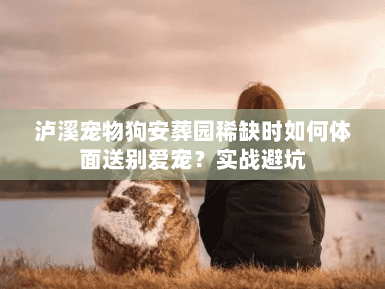 泸溪宠物狗安葬园稀缺时如何体面送别爱宠？实战避坑