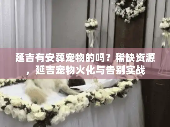 延吉有安葬宠物的吗？稀缺资源，延吉宠物火化与告别实战