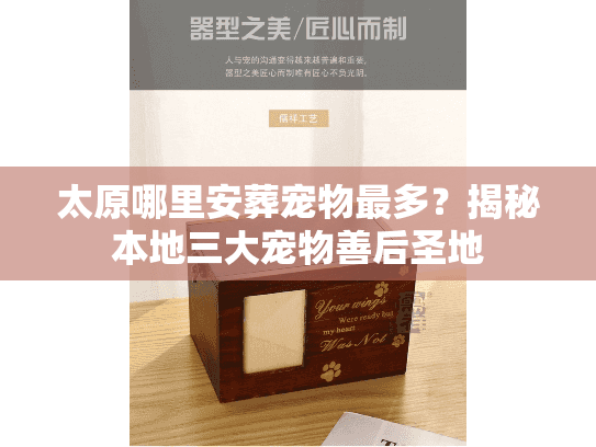 太原哪里安葬宠物最多？揭秘本地三大宠物善后圣地
