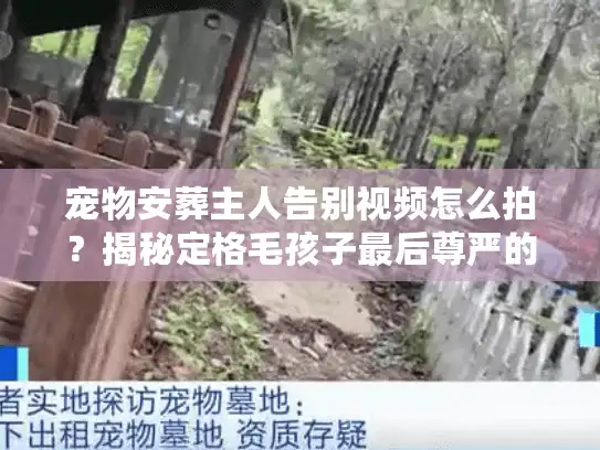 宠物安葬主人告别视频怎么拍？揭秘定格毛孩子最后尊严的仪式感