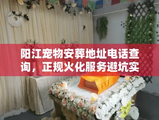 阳江宠物安葬地址电话查询，正规火化服务避坑实录