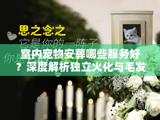 室内宠物安葬哪些服务好？深度解析独立火化与毛发纪念黑科技