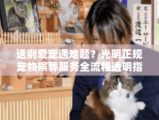 送别爱宠遇难题？光明正规宠物殡葬服务全流程透明指南