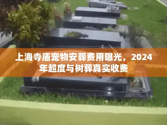 上海寺庙宠物安葬费用曝光，2024年超度与树葬真实收费