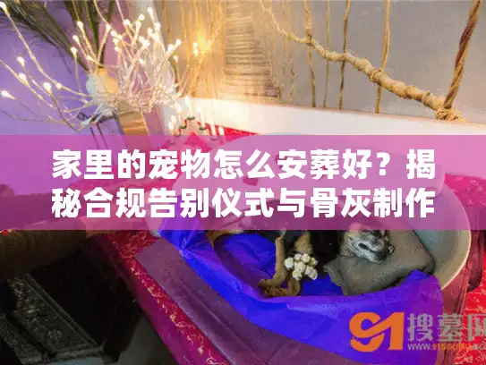 家里的宠物怎么安葬好？揭秘合规告别仪式与骨灰制作内幕