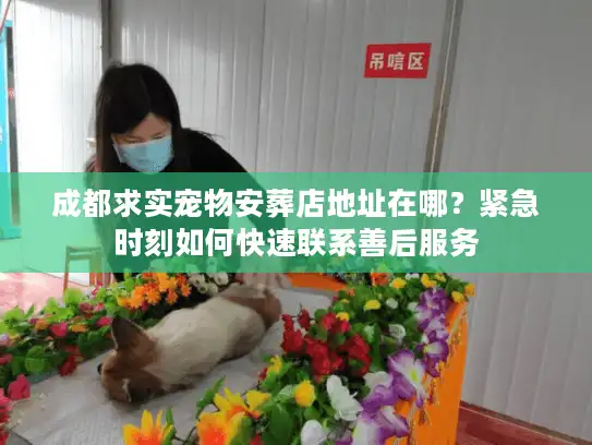 成都求实宠物安葬店地址在哪？紧急时刻如何快速联系善后服务
