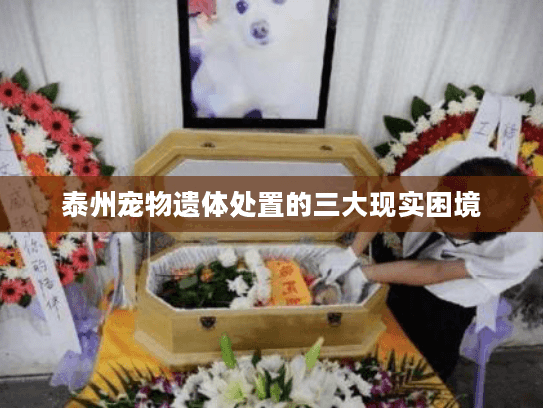 泰州宠物遗体处置的三大现实困境 泰州宠物遗体处置的三大现实困境