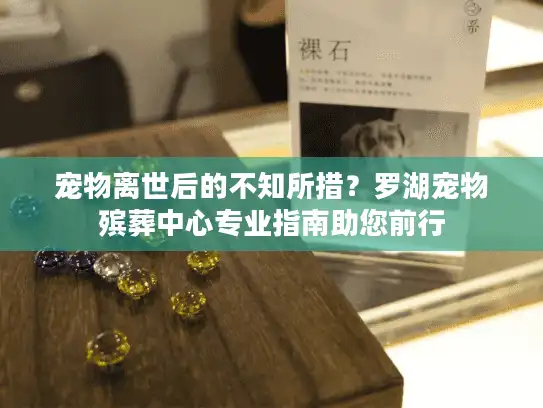 宠物离世后的不知所措？罗湖宠物殡葬中心专业指南助您前行