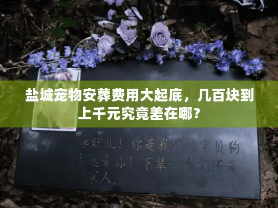 盐城宠物安葬费用大起底，几百块到上千元究竟差在哪？