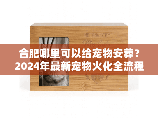 合肥哪里可以给宠物安葬？2024年最新宠物火化全流程与费用清单