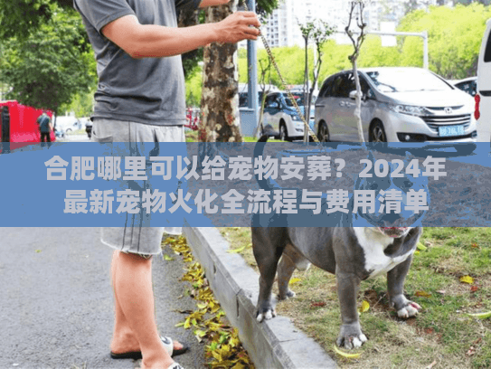 合肥哪里可以给宠物安葬？2024年最新宠物火化全流程与费用清单