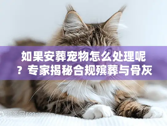 如果安葬宠物怎么处理呢?专家揭秘合规殡葬与骨灰寄存法 如果安葬宠物怎么处理呢?专家揭秘合规殡葬与骨灰寄存法