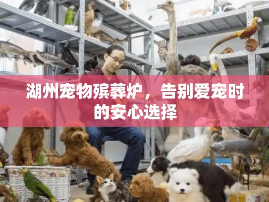 湖州宠物殡葬炉，告别爱宠时的安心选择