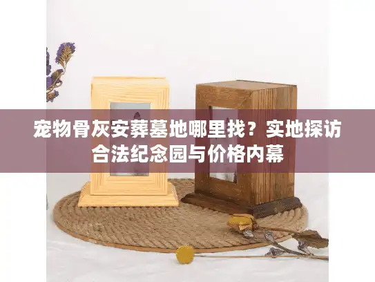 宠物骨灰安葬墓地哪里找？实地探访合法纪念园与价格内幕
