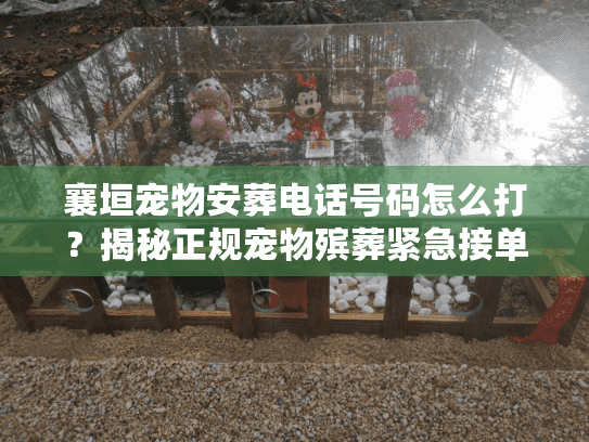 襄垣宠物安葬电话号码怎么打？揭秘正规宠物殡葬紧急接单标准