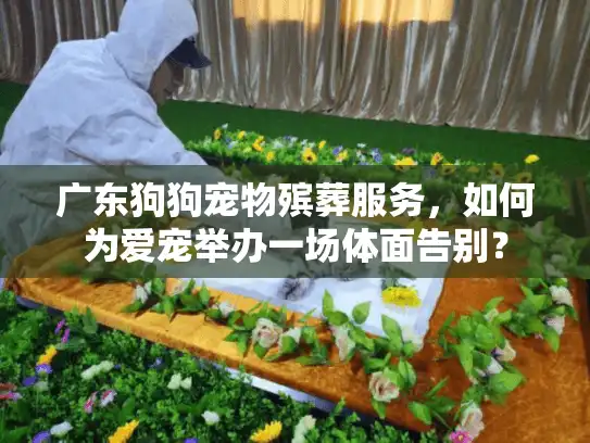 广东狗狗宠物殡葬服务，如何为爱宠举办一场体面告别？