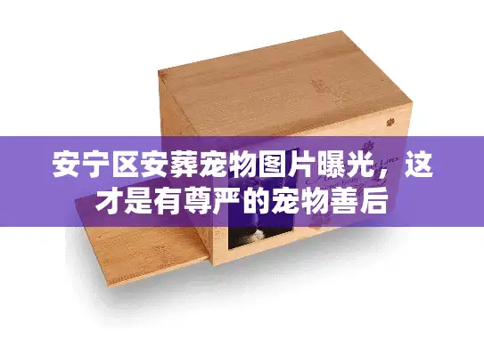 安宁区安葬宠物图片曝光,这才是有尊严的宠物善后 安宁区安葬宠物图片曝光,这才是有尊严的宠物善后