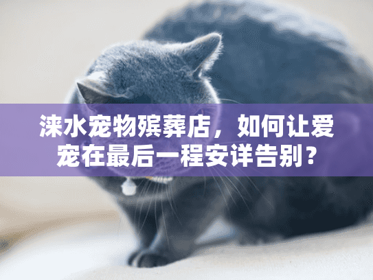 涞水宠物殡葬店，如何让爱宠在最后一程安详告别？