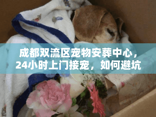 成都双流区宠物安葬中心，24小时上门接宠，如何避坑选对火化机构？
