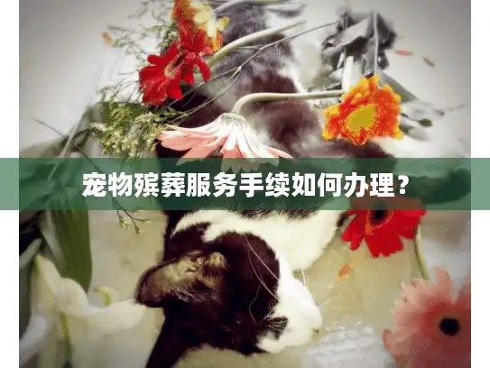 宠物殡葬服务手续如何办理？