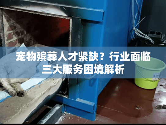 宠物殡葬人才紧缺？行业面临三大服务困境解析